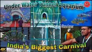 Discover the Wonders of Underwater Life at the First Underwater Tunnel Aquarium in Gandhinagar